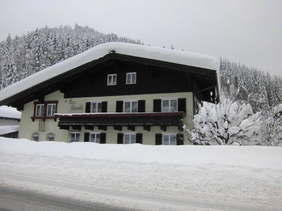 Appartements Haus Schmalzl Вихофен Екстериор снимка